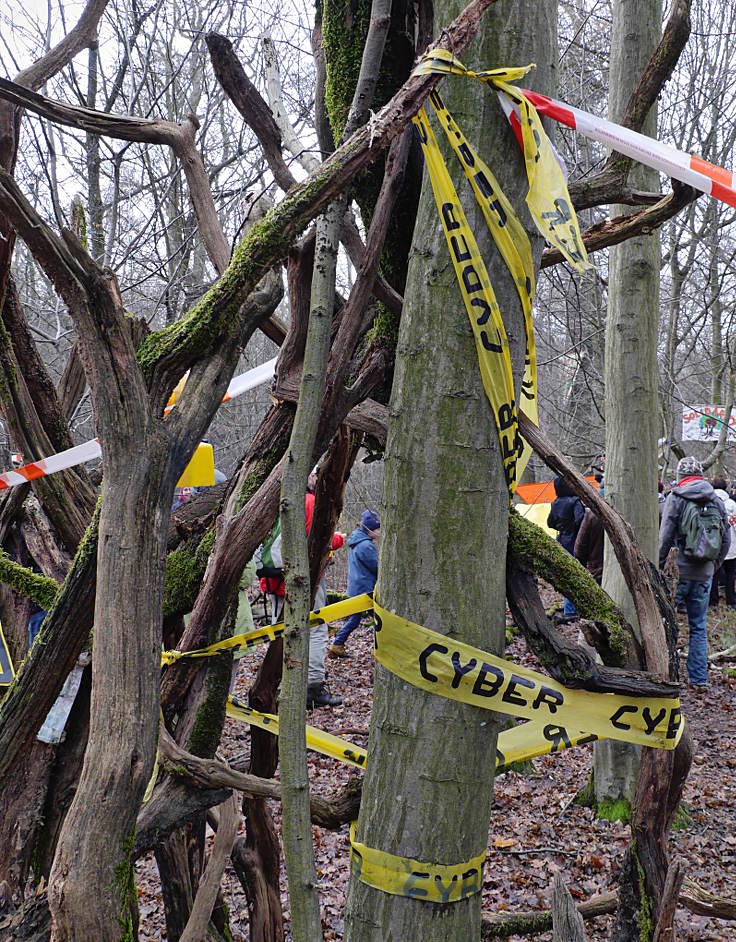 © www.mutbuergerdokus.de: Aktion 'Rote Karte für RWE' - monatliche Waldführung im Hambacher Forst