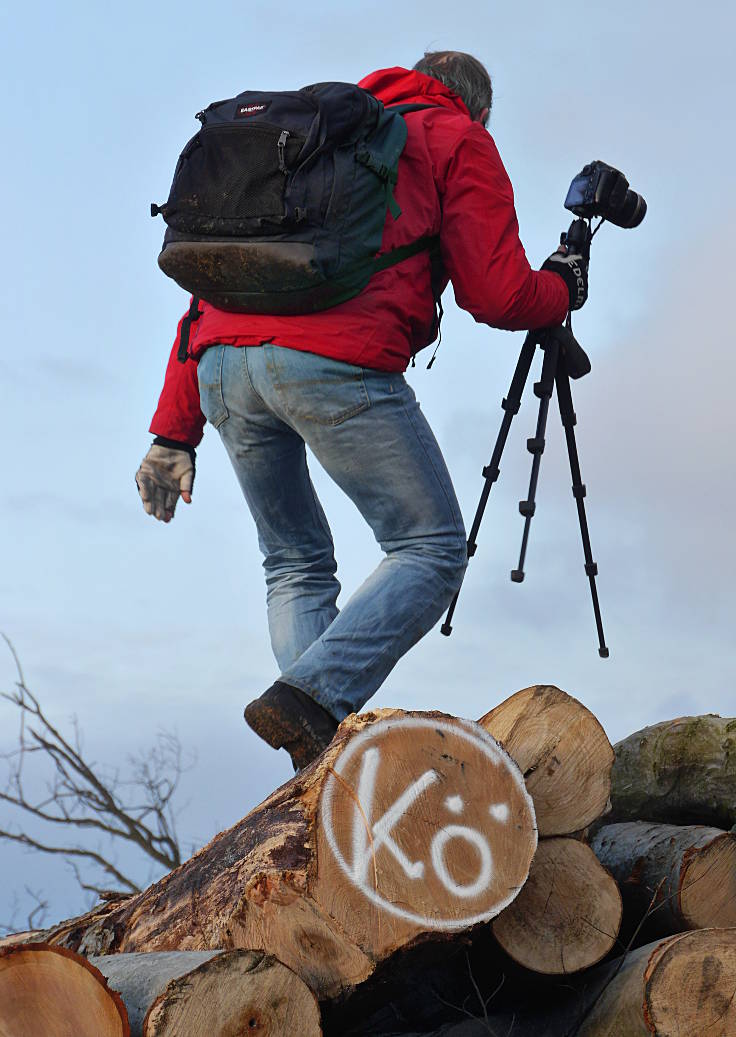 © www.mutbuergerdokus.de: Aktion 'Rote Karte für RWE' - monatliche Waldführung im Hambacher Forst