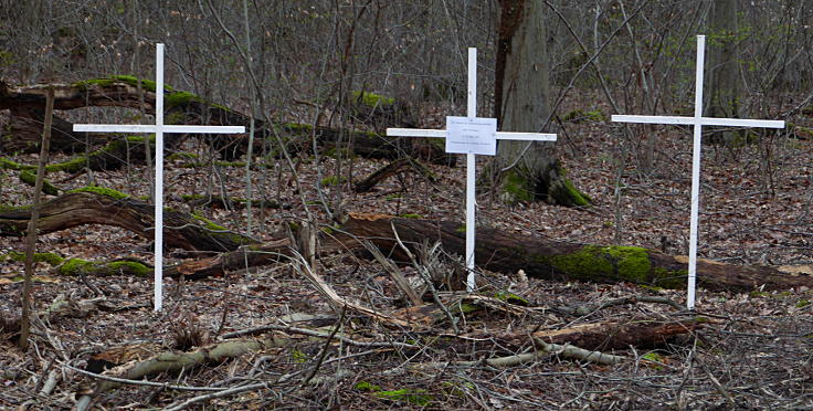 © www.mutbuergerdokus.de: Waldführung durch den Hambacher Forst