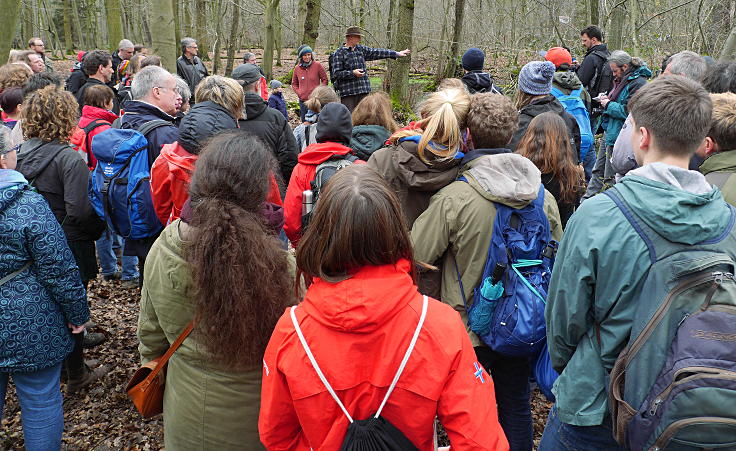 © www.mutbuergerdokus.de: Waldführung durch den Hambacher Forst