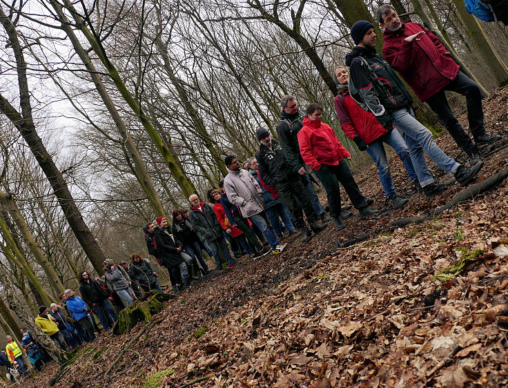 © www.mutbuergerdokus.de: Waldführung durch den Hambacher Forst