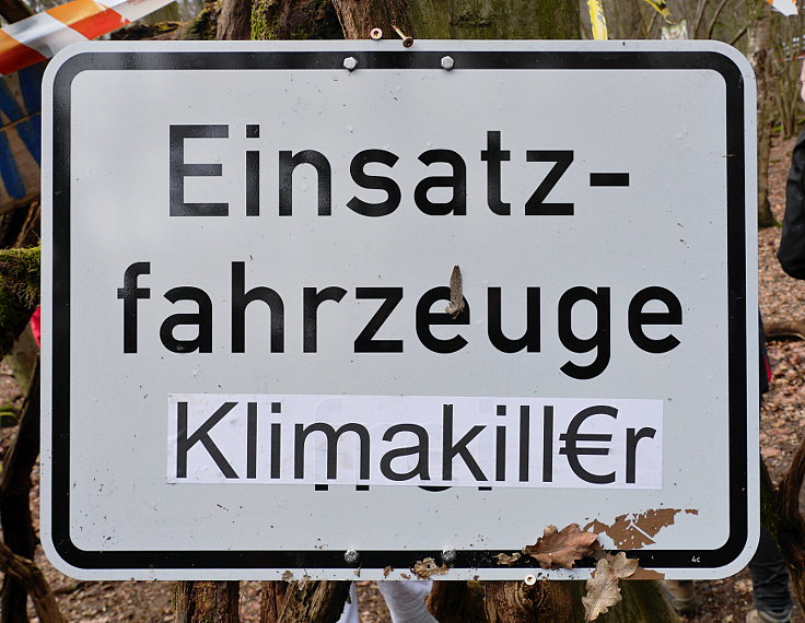 © www.mutbuergerdokus.de: Waldführung durch den Hambacher Forst