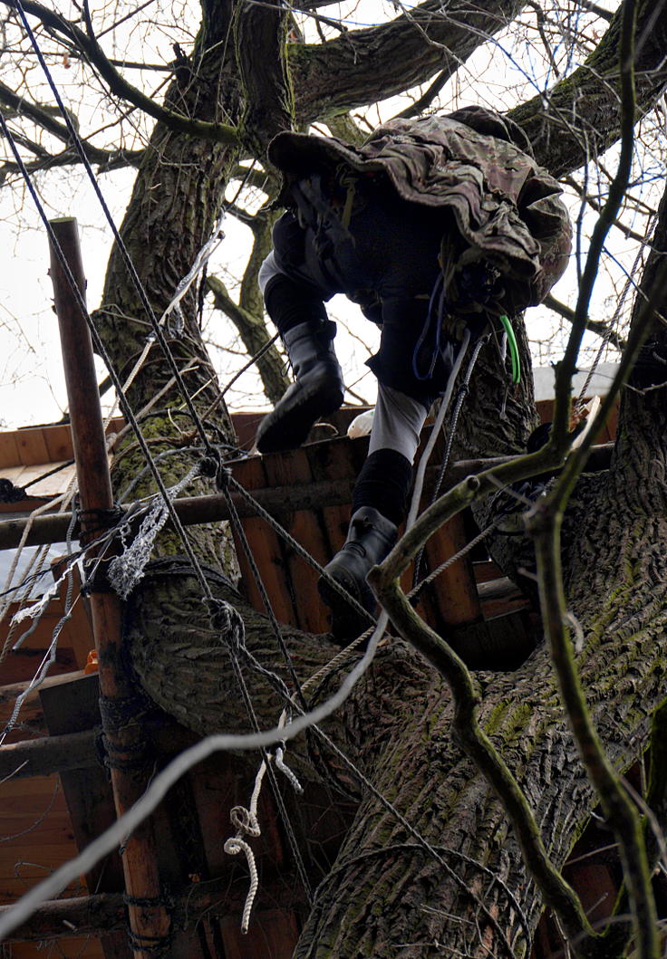 © www.mutbuergerdokus.de: Waldführung durch den Hambacher Forst