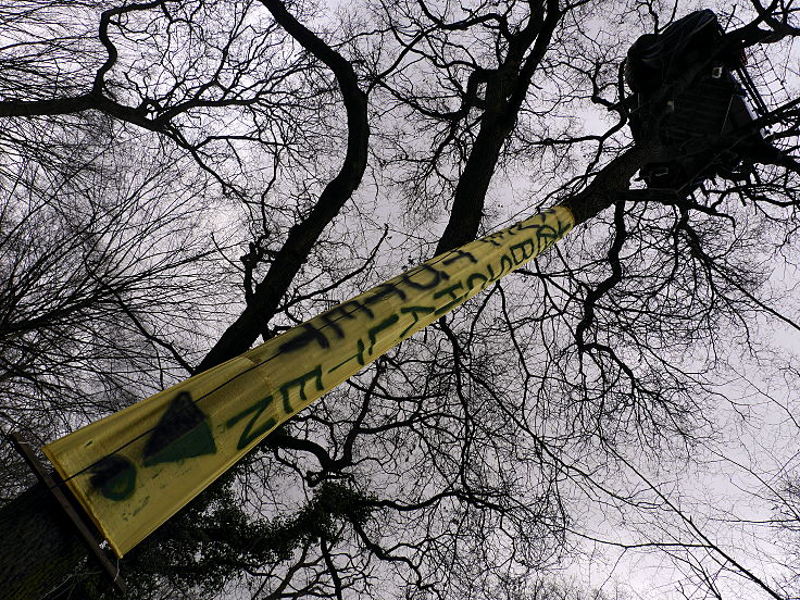 © www.mutbuergerdokus.de: Waldführung durch den Hambacher Forst