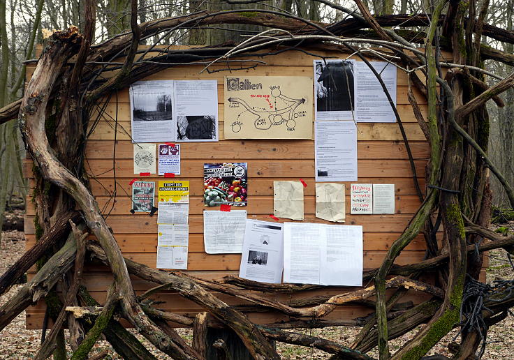 © www.mutbuergerdokus.de: Waldführung durch den Hambacher Forst