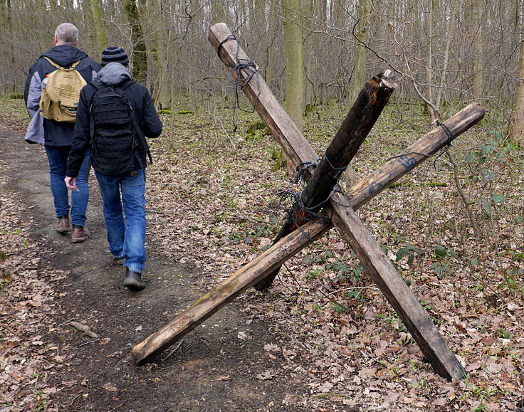 © www.mutbuergerdokus.de: Waldführung durch den Hambacher Forst