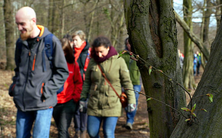 © www.mutbuergerdokus.de: Waldführung durch den Hambacher Forst