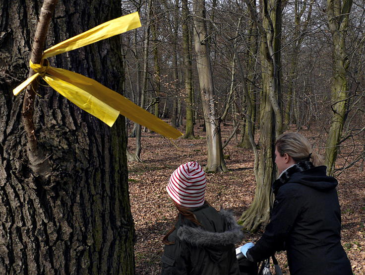 © www.mutbuergerdokus.de: Waldführung durch den Hambacher Forst