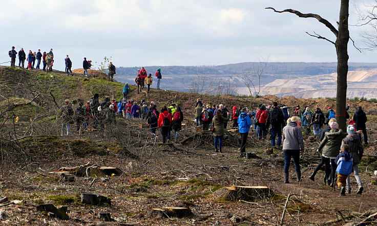 © www.mutbuergerdokus.de: Waldführung durch den Hambacher Forst