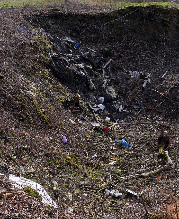 © www.mutbuergerdokus.de: Waldführung durch den Hambacher Forst