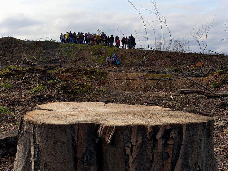 © www.mutbuergerdokus.de: Waldführung durch den Hambacher Forst