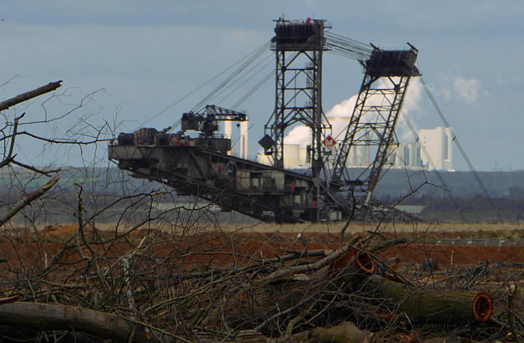 © www.mutbuergerdokus.de: Waldführung durch den Hambacher Forst