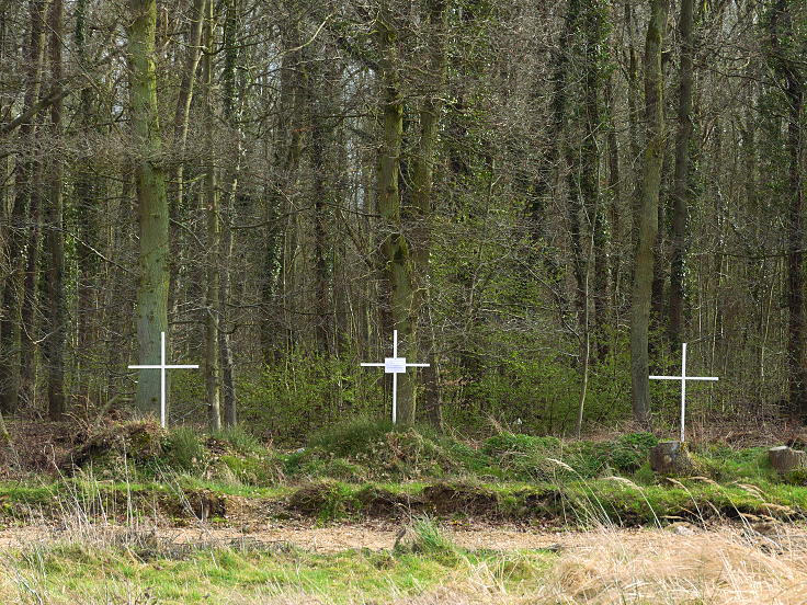 © www.mutbuergerdokus.de: Waldführung durch den Hambacher Forst