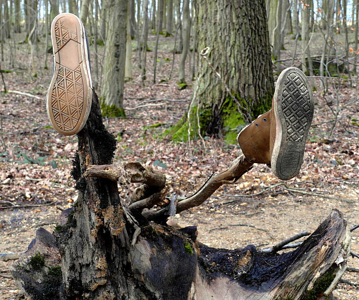 © www.mutbuergerdokus.de: Waldführung durch den Hambacher Forst