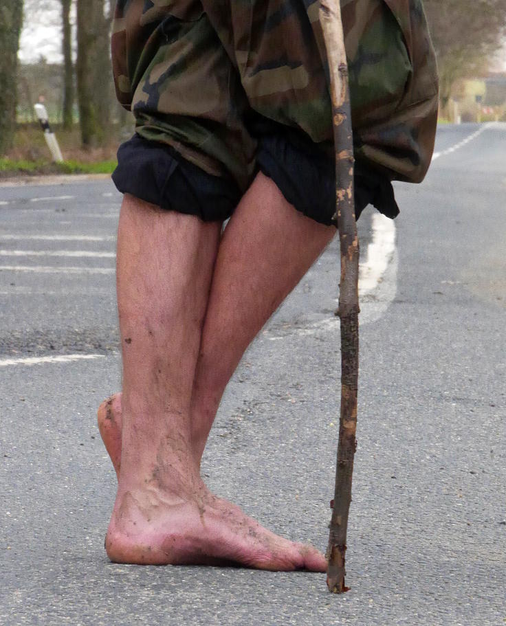 © www.mutbuergerdokus.de: Waldführung durch den Hambacher Forst