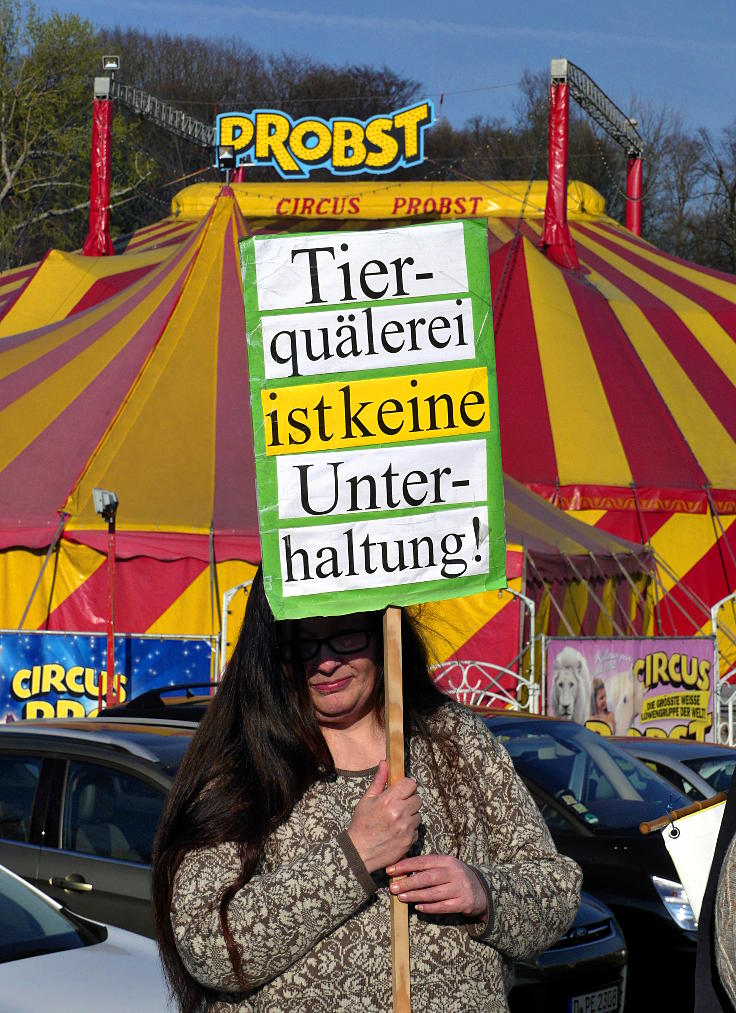 © www.mutbuergerdokus.de: Demonstration vor 'Circus Probst'