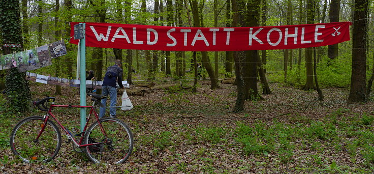 © www.mutbuergerdokus.de: Klimafest im Kölner Stadtwald