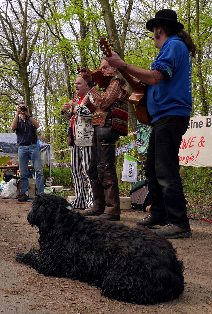 © www.mutbuergerdokus.de: Klimafest im Kölner Stadtwald