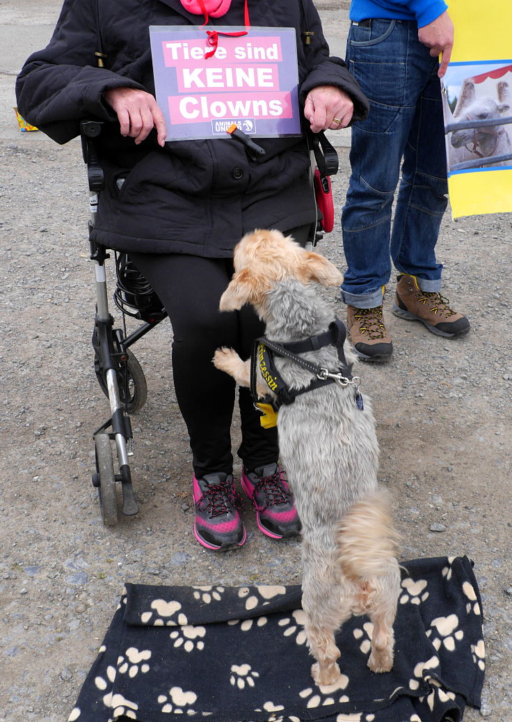 © www.mutbuergerdokus.de: Demonstration vor (Tier)Circus Traber