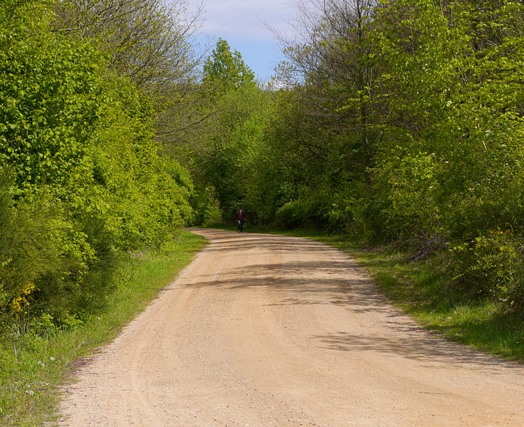 © www.mutbuergerdokus.de: 'Hambach, die andere Seite'