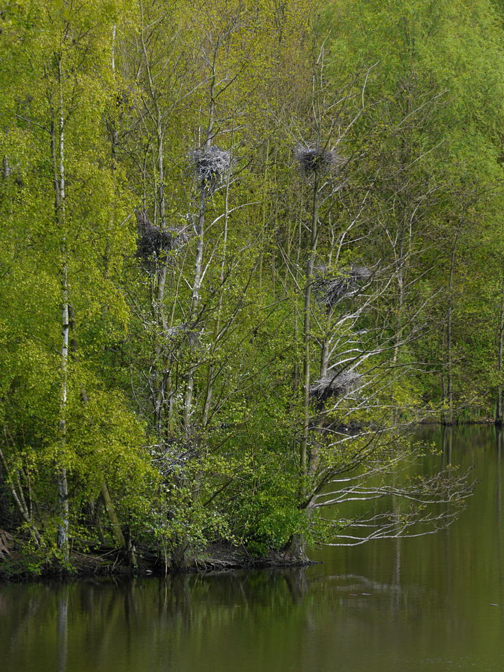 © www.mutbuergerdokus.de: 'Hambach, die andere Seite'