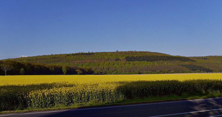 © www.mutbuergerdokus.de: 'Hambach, die andere Seite'