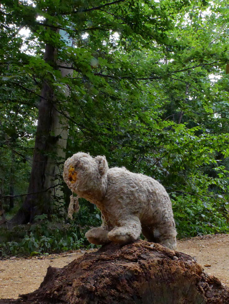 © www.mutbuergerdokus.de: 'Wald statt Kohle'