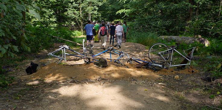 © www.mutbuergerdokus.de: 'Wald statt Kohle'