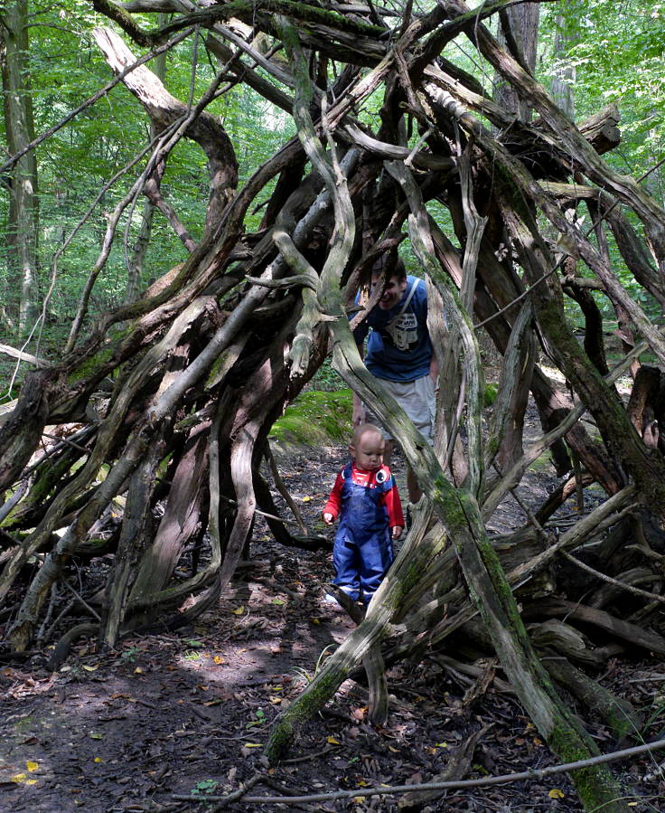 © www.mutbuergerdokus.de: 'Wald statt Kohle'