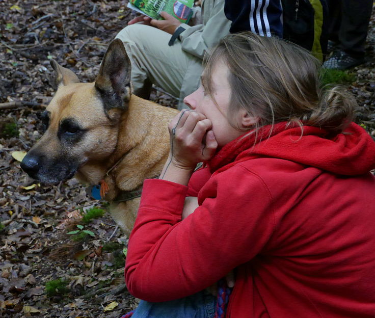 © www.mutbuergerdokus.de: 'Wald statt Kohle'