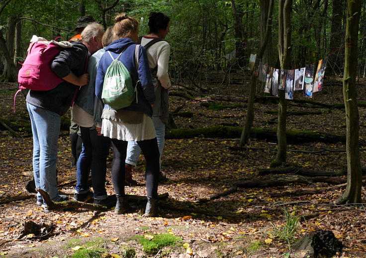 © www.mutbuergerdokus.de: 'Wald statt Kohle'