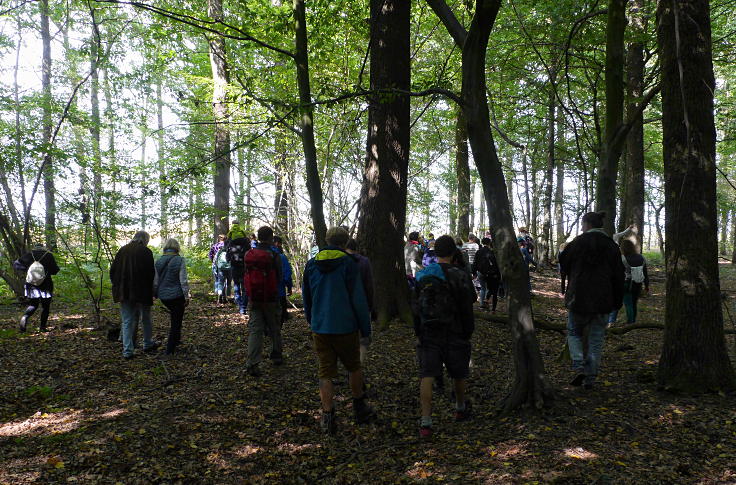 © www.mutbuergerdokus.de: 'Wald statt Kohle'