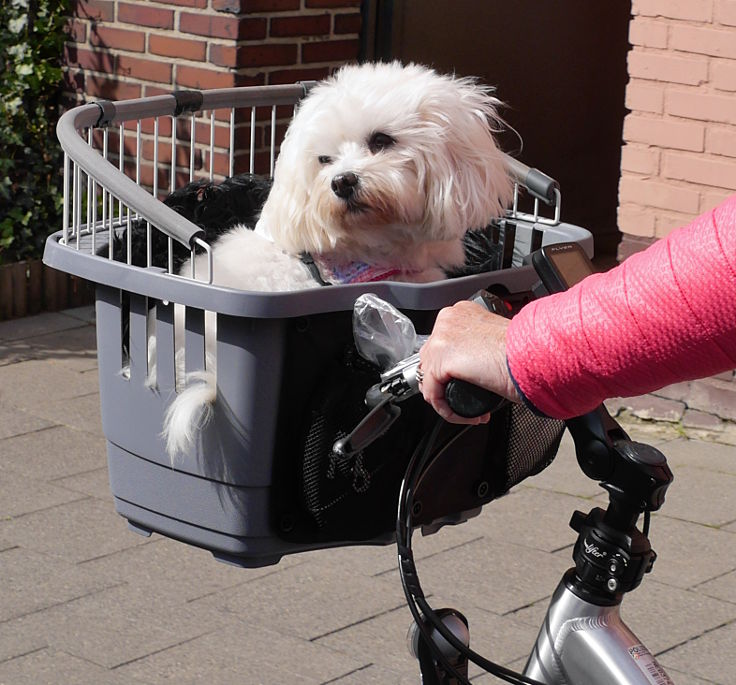 © www.mutbuergerdokus.de: 4. 'Mönchengladbacher Fahrradsternfahrt'