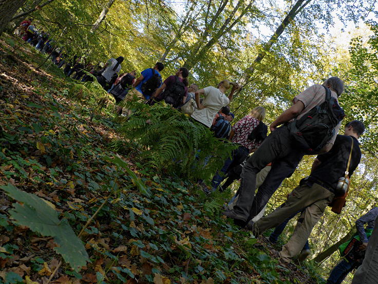 © www.mutbuergerdokus.de: 42. Waldführung im Hambacher Forst