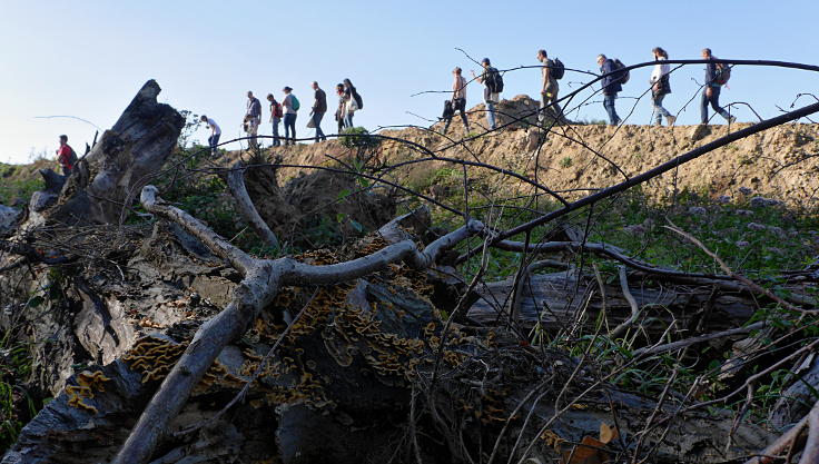 © www.mutbuergerdokus.de: 42. Waldführung im Hambacher Forst