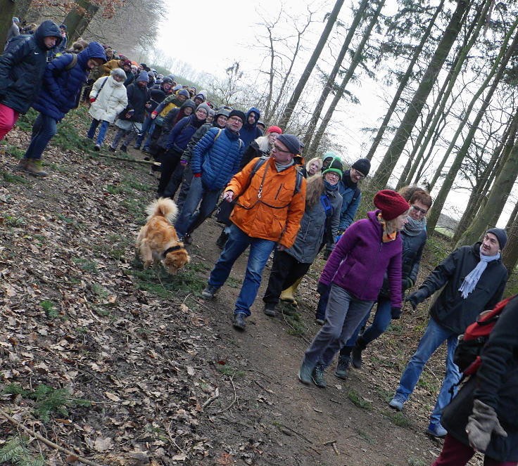 © www.mutbuergerdokus.de: 'Wald statt Kohle' - Waldführung im Hambacher Forst