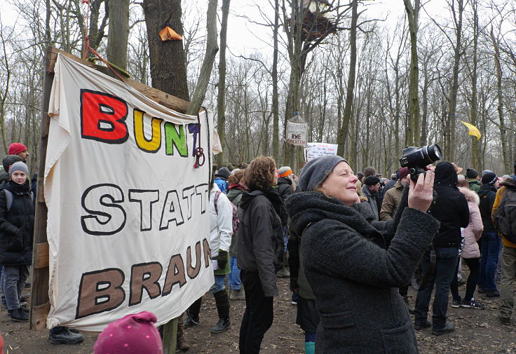 © www.mutbuergerdokus.de: 'Wald statt Kohle' - Waldführung im Hambacher Forst