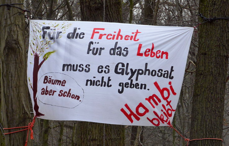 © www.mutbuergerdokus.de: 'Wald statt Kohle' - Waldführung im Hambacher Forst