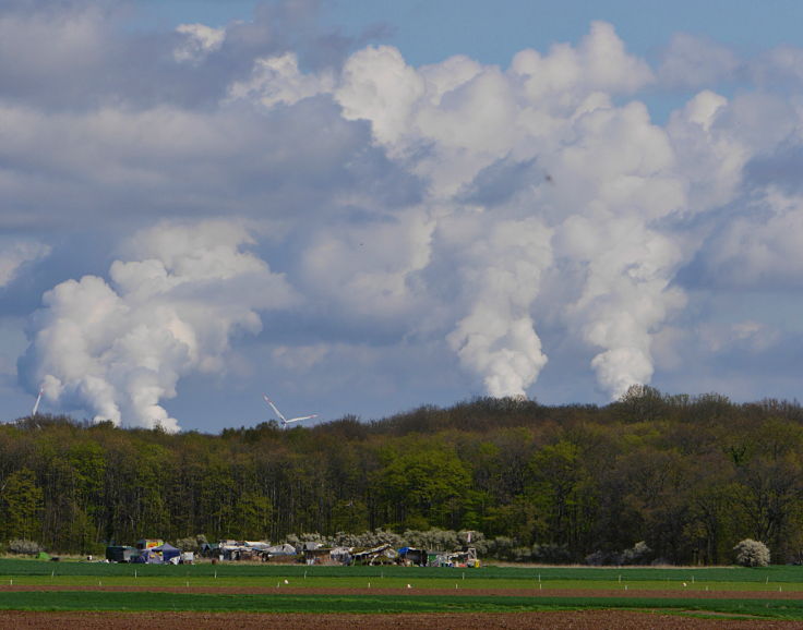 © www.mutbuergerdokus.de: 'Wald statt Kohle' - 4 Jahre Waldführung im Hambacher Forst