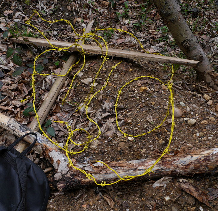 © www.mutbuergerdokus.de: 'Wald statt Kohle' - 4 Jahre Waldführung im Hambacher Forst