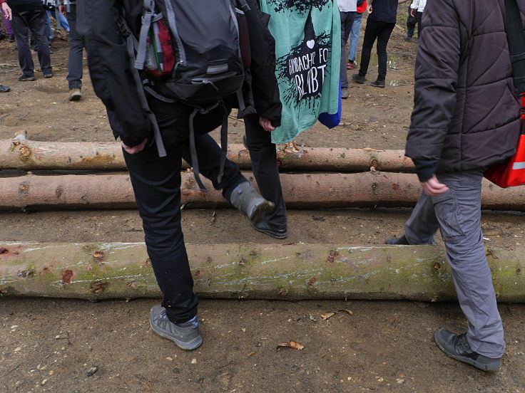 © www.mutbuergerdokus.de: 'Wald statt Kohle' - 4 Jahre Waldführung im Hambacher Forst