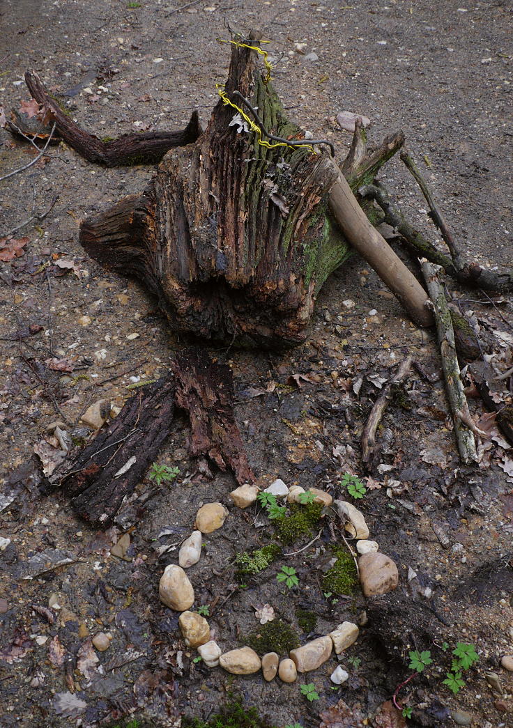 © www.mutbuergerdokus.de: 'Wald statt Kohle' - 4 Jahre Waldführung im Hambacher Forst