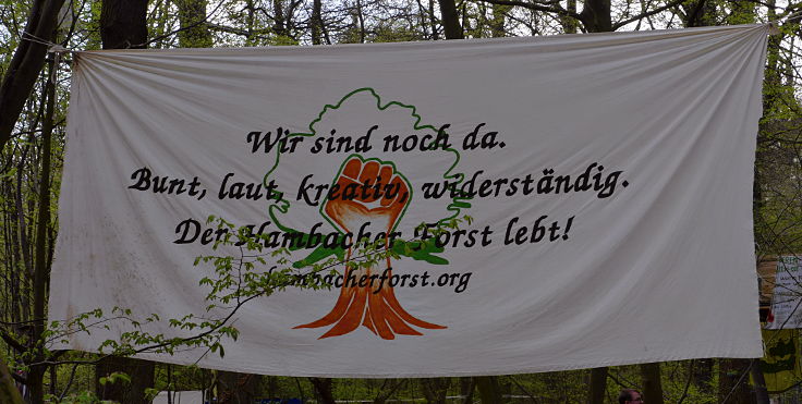 © www.mutbuergerdokus.de: 'Wald statt Kohle' - 4 Jahre Waldführung im Hambacher Forst