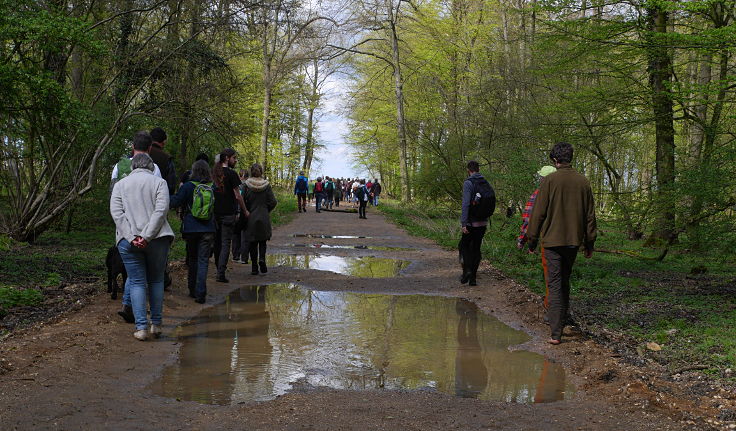 © www.mutbuergerdokus.de: 'Wald statt Kohle' - 4 Jahre Waldführung im Hambacher Forst