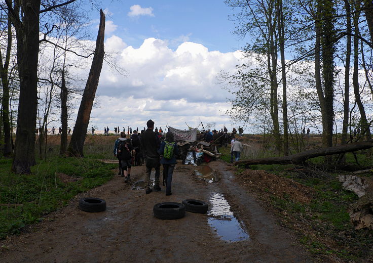 © www.mutbuergerdokus.de: 'Wald statt Kohle' - 4 Jahre Waldführung im Hambacher Forst