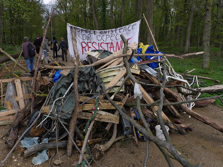 © www.mutbuergerdokus.de: 'Wald statt Kohle' - 4 Jahre Waldführung im Hambacher Forst