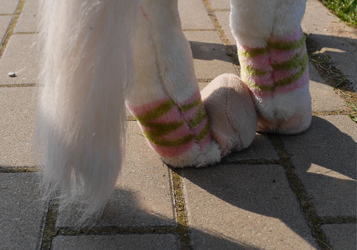 © www.mutbuergerdokus.de: Demonstration gegen Tiere im Zirkus