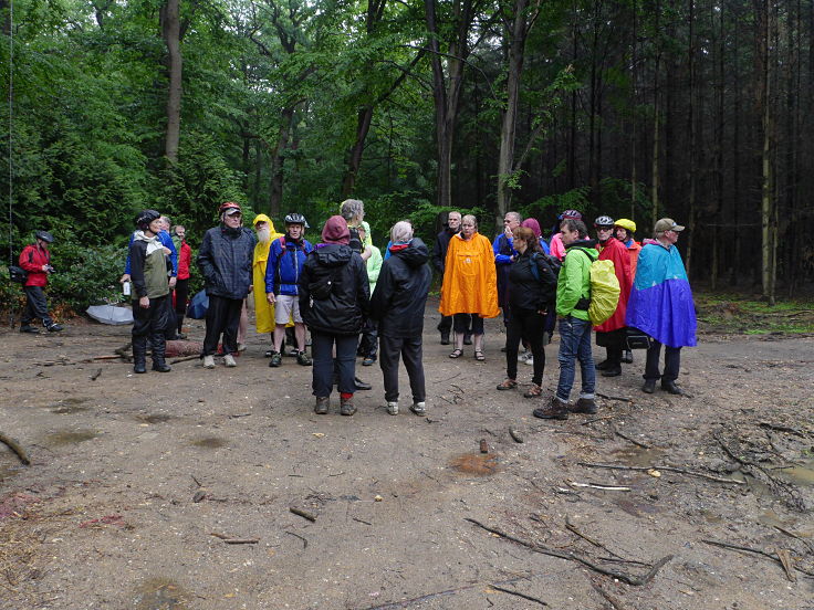 © www.mutbuergerdokus.de: Solidaritätsfahrt des ADFC zum Hambacher Forst