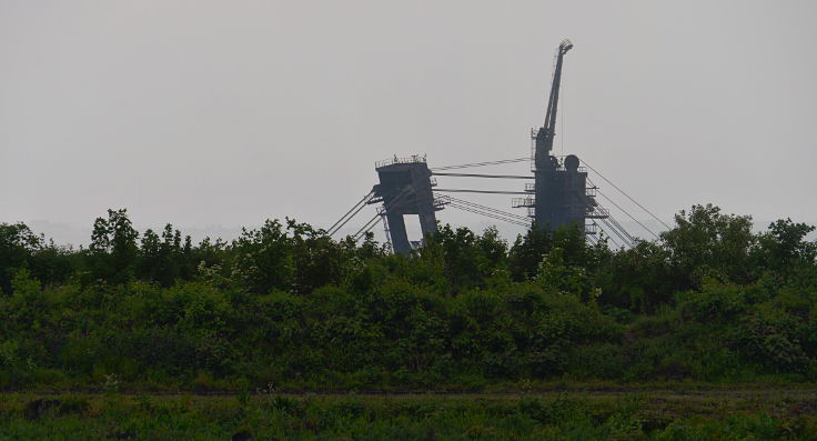 © www.mutbuergerdokus.de: Solidaritätsfahrt des ADFC zum Hambacher Forst