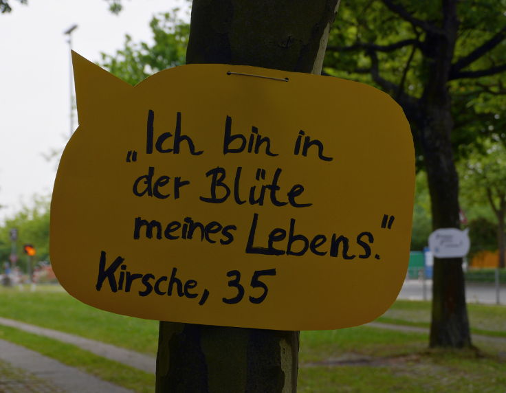 © www.mutbuergerdokus.de: 'Den Bäumen eine Stimme geben'